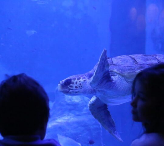 Acuario de Sevilla