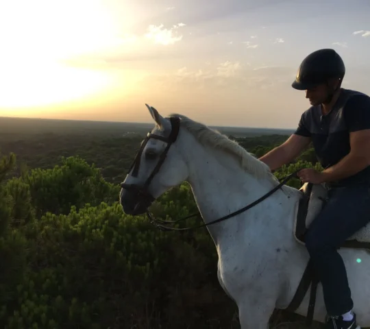 Doñana Hípica el Pasodoble